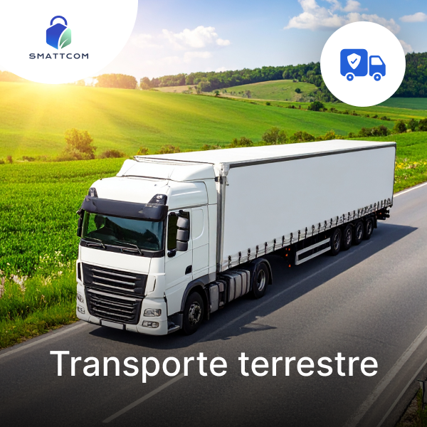 Transporte terrestre