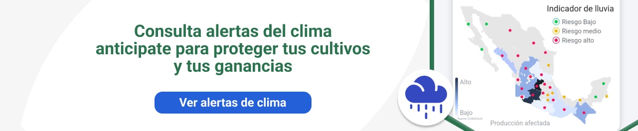 Banner Climático