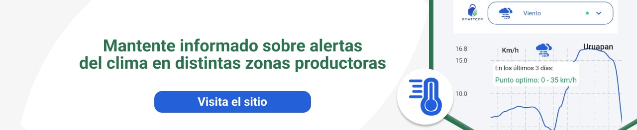 Mantente informado sobre alertas del clima en distintas zonas productoras