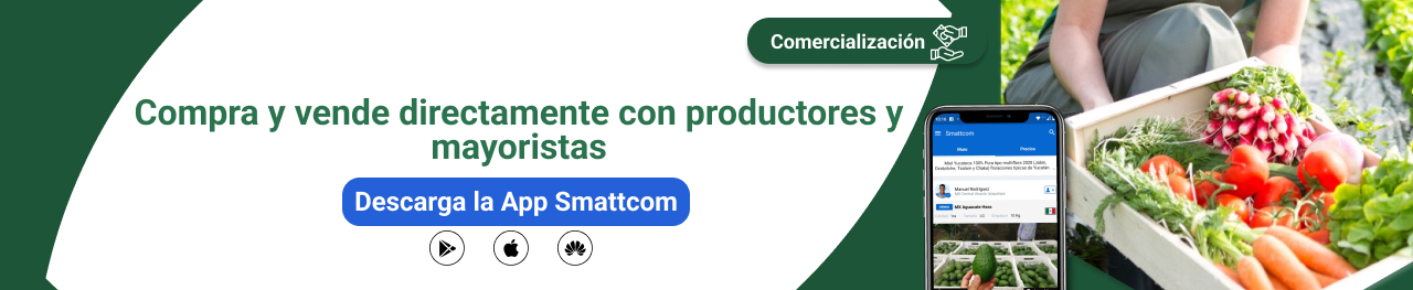 COMPRA Y VENDE EN SMATTCOM