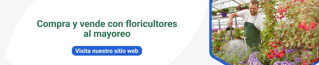 Compra y vende con floricultores al mayoreo
