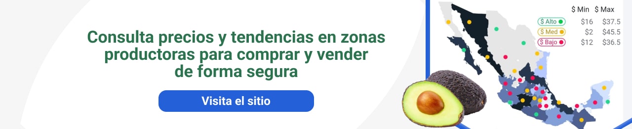 Consulta precios y tendencias en zonas productoras para comprar y vender de forma segura