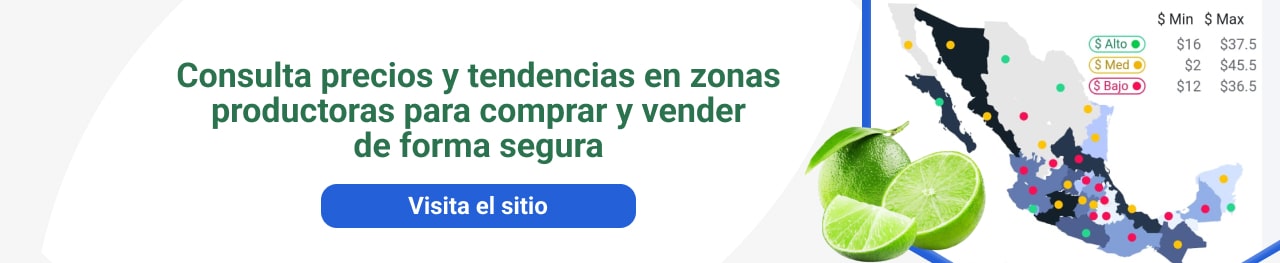Consulta precios y tendencias en zonas productoras Limón