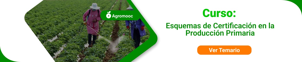 Esquemas de certificación primaria