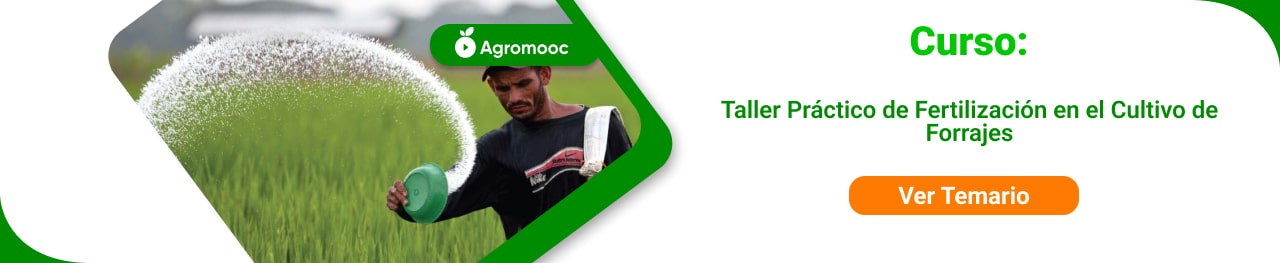 taller práctico en el cultivo de fertilizantes 