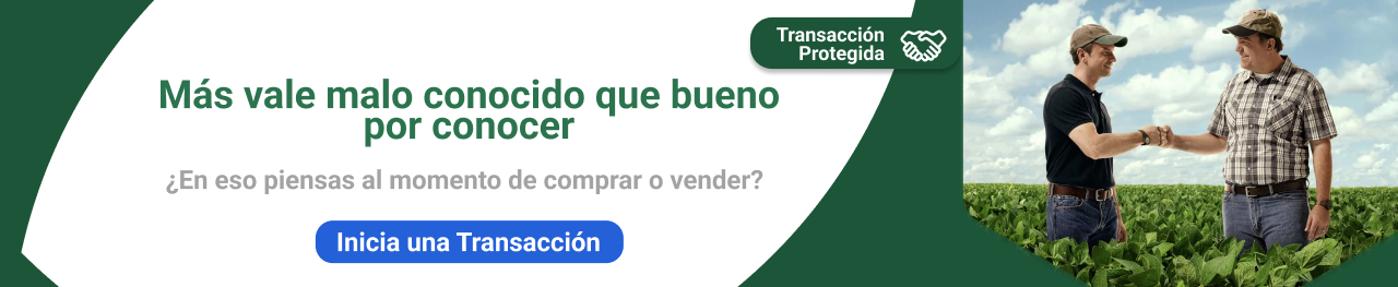Transacción Protegida