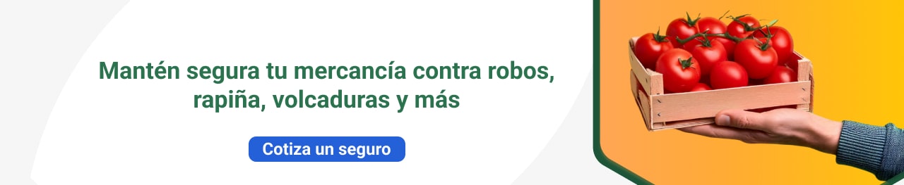Mantén segura tu mercancía coontra robos, rapiña, volcaduras y más.