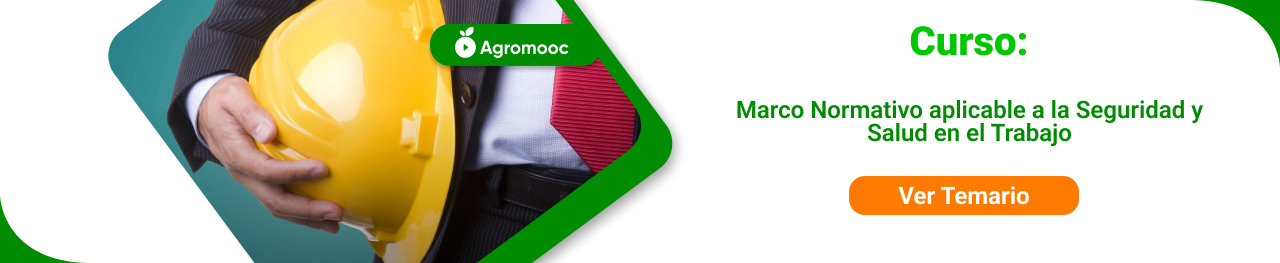 Marco normativo a la seguridad y salud en el trabajo