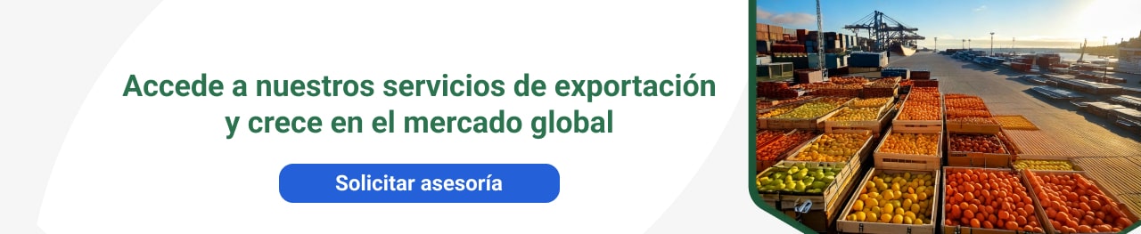 Accede a nuestros servicios de exportación y crece en el mercado global