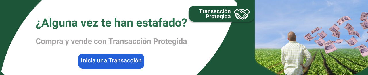 ¿Alguna vez te han estafado?