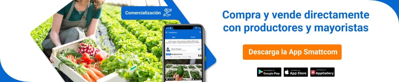 compra o vende productos del campo desde la ap Smattcom