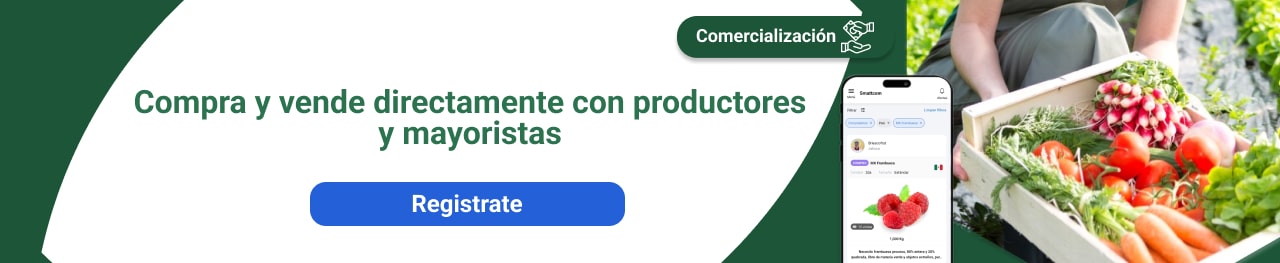 Compra y vende directamente con productores y mayoristas