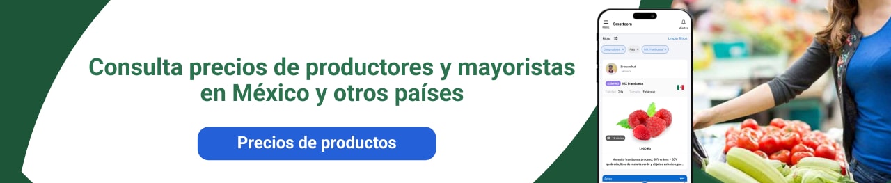 Consulta precios