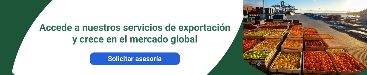 Servicio de Exportación