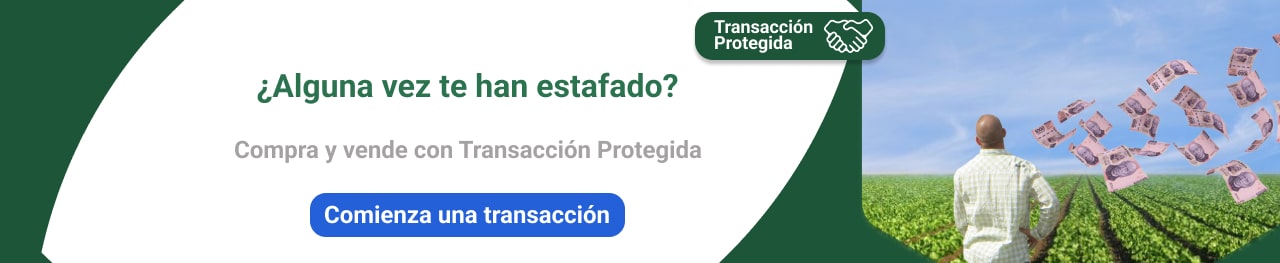 Compra y vende con transacción protegida
