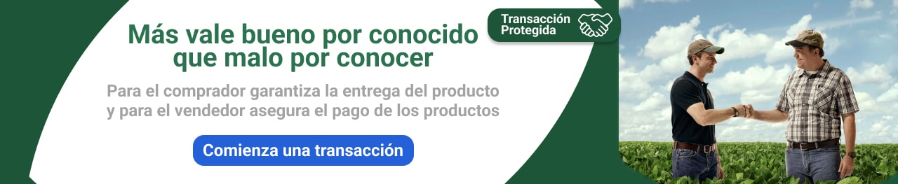 Más vale bueno por conocido que malo por conocer