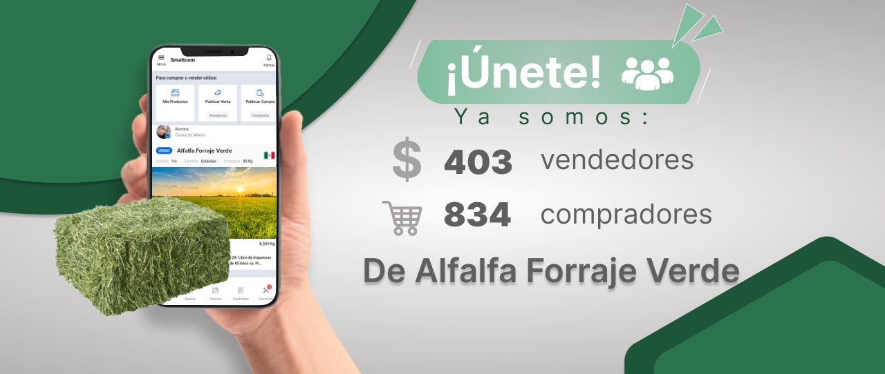 Consulta precios de Alfalfa Forrajera Verde y comercialízala en Smattcom