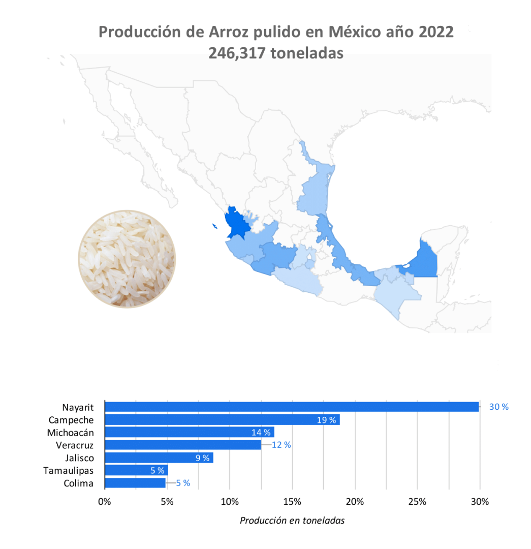 producción arroz
