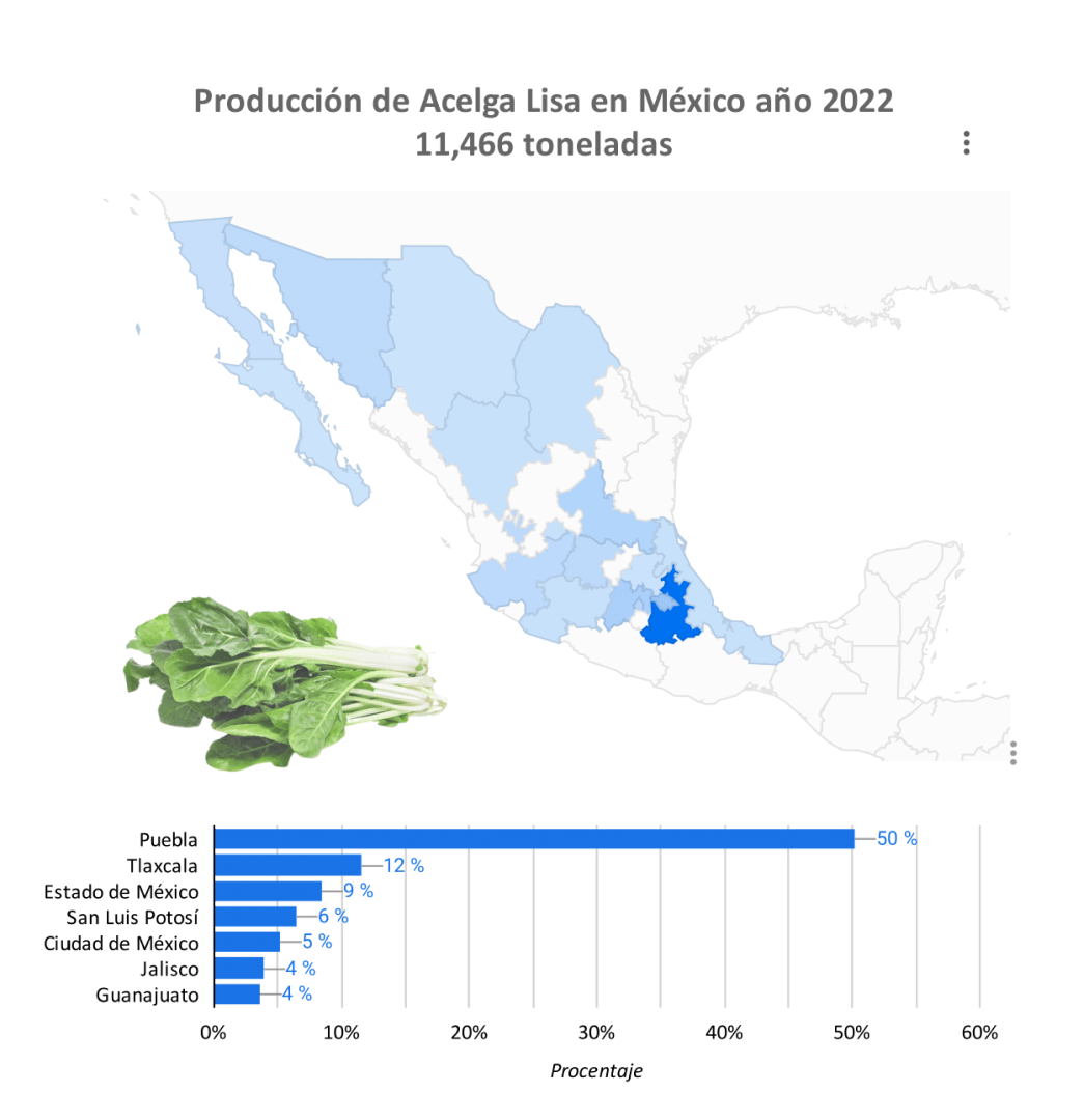 producción acelga