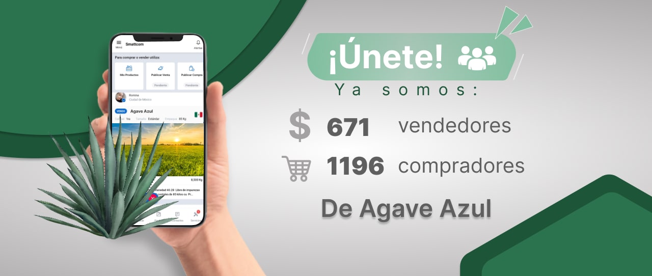 Consulta el Precio de Agave Azul y comercialízalo en Smattcom