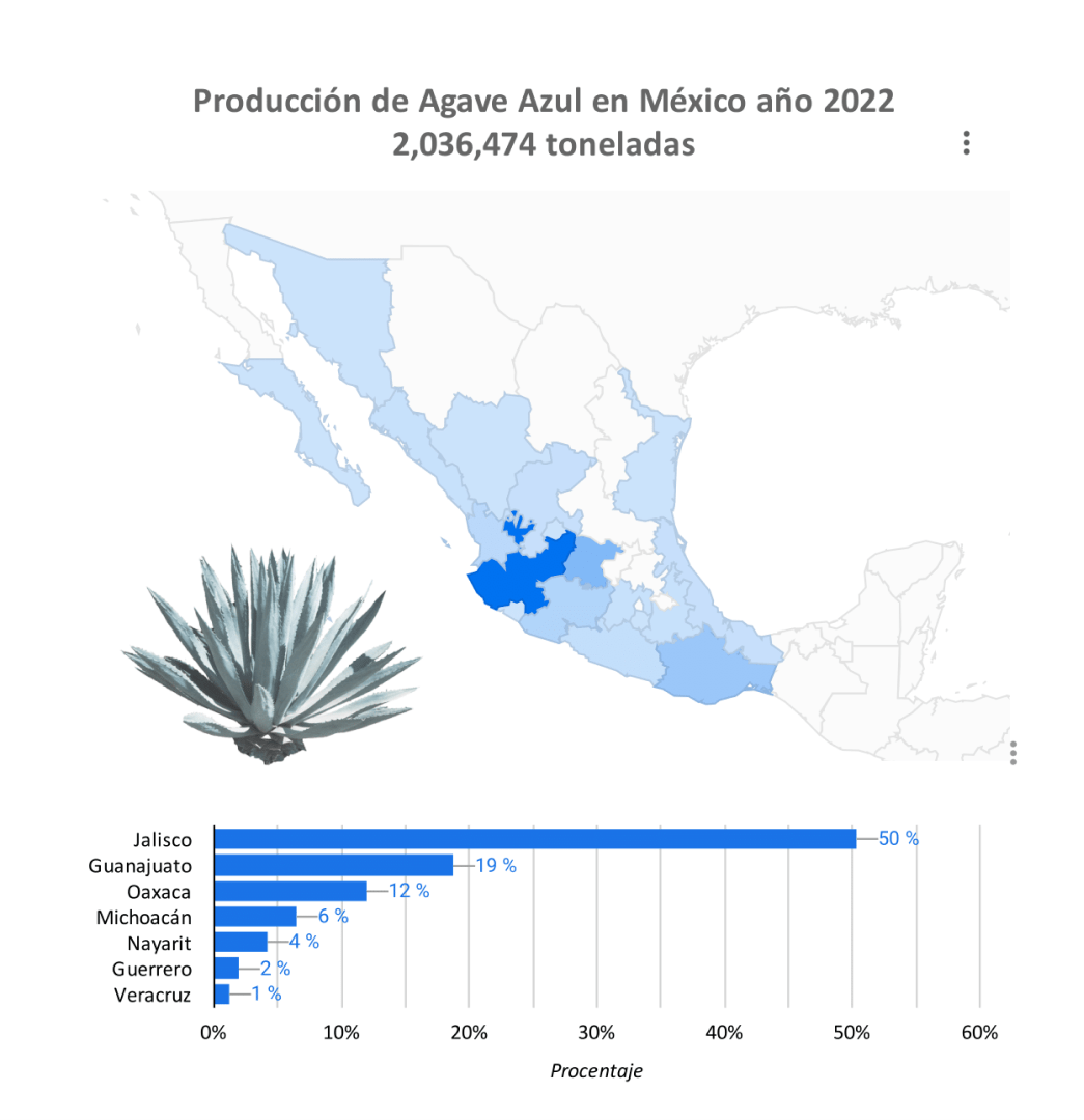 Producción Agave