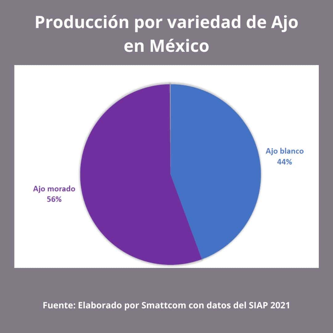 Consulta precios de Ajo Morado y comercialízalo en Smattcom