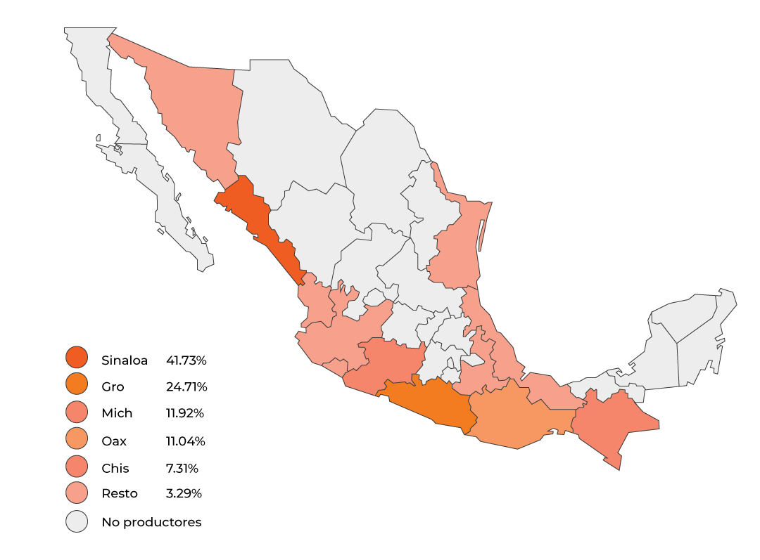 producción ajonjolí