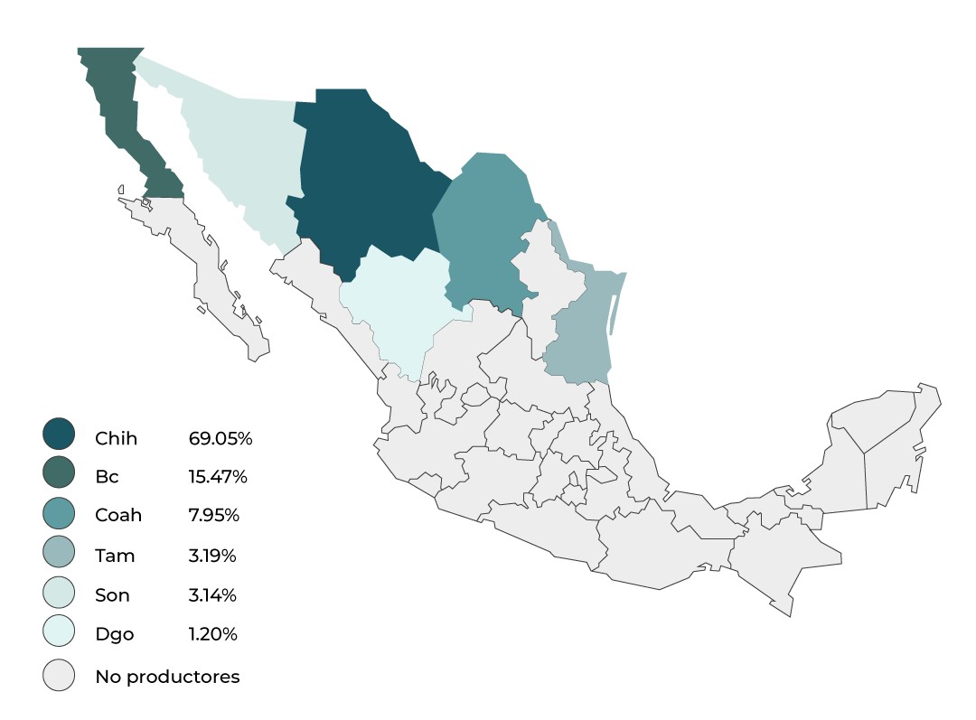 Consulta precios de Semilla de Algodón y comercialízalo en Smattcom