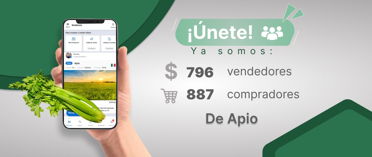 Consulta precios del Apio y comercialízalo en Smattcom