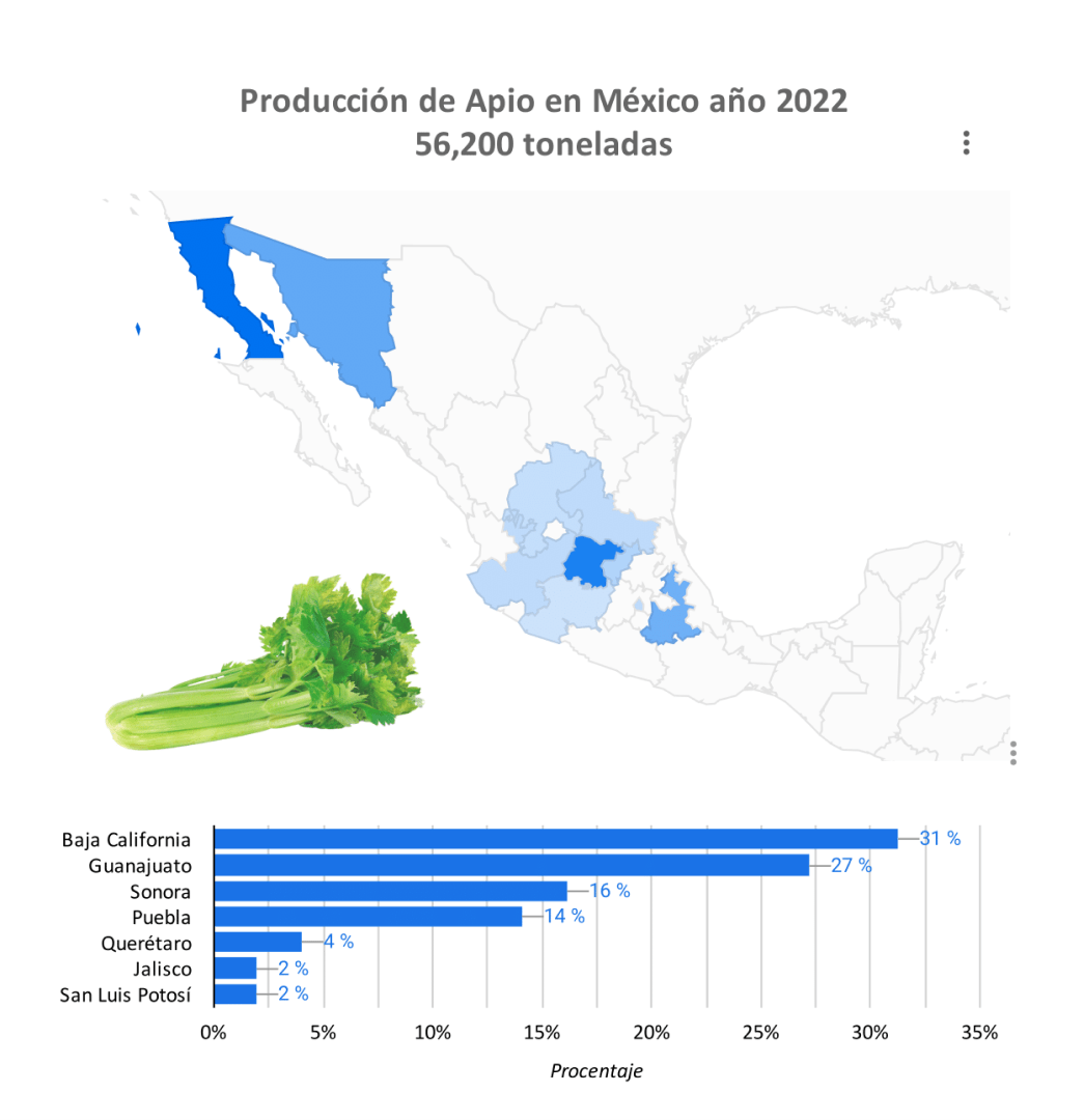 producción apio