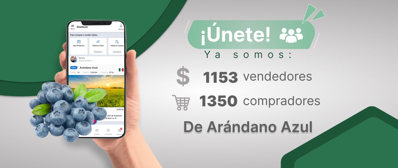 Consulta precios de Arándano Azul y comercialízalo en Smattcom