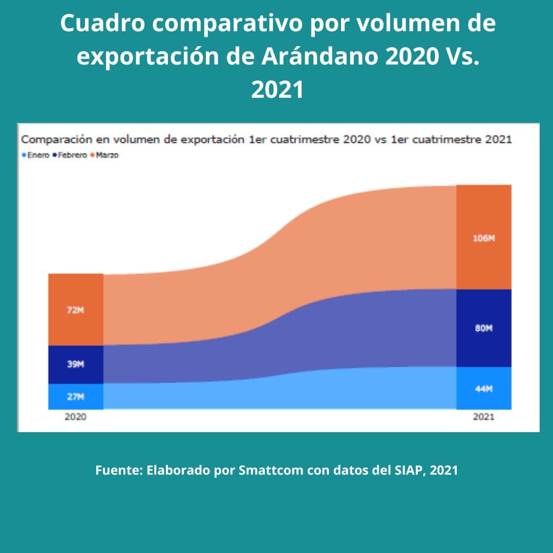 Consulta precios de Arándano Azul y comercialízalo en Smattcom