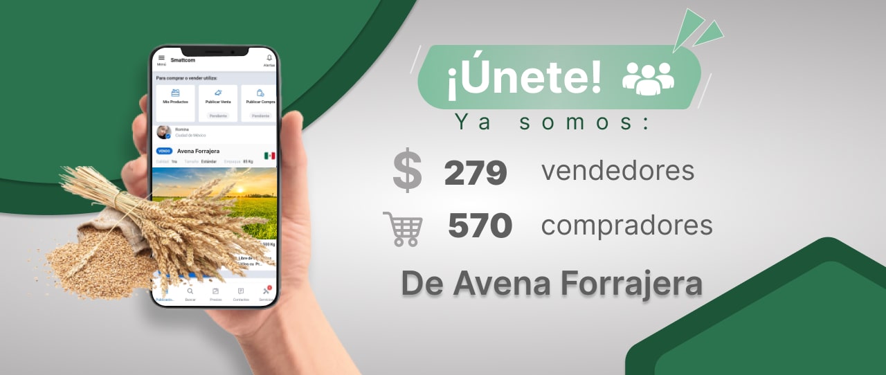 Consulta precios de Avena Forrajera y comercialízala en Smattcom