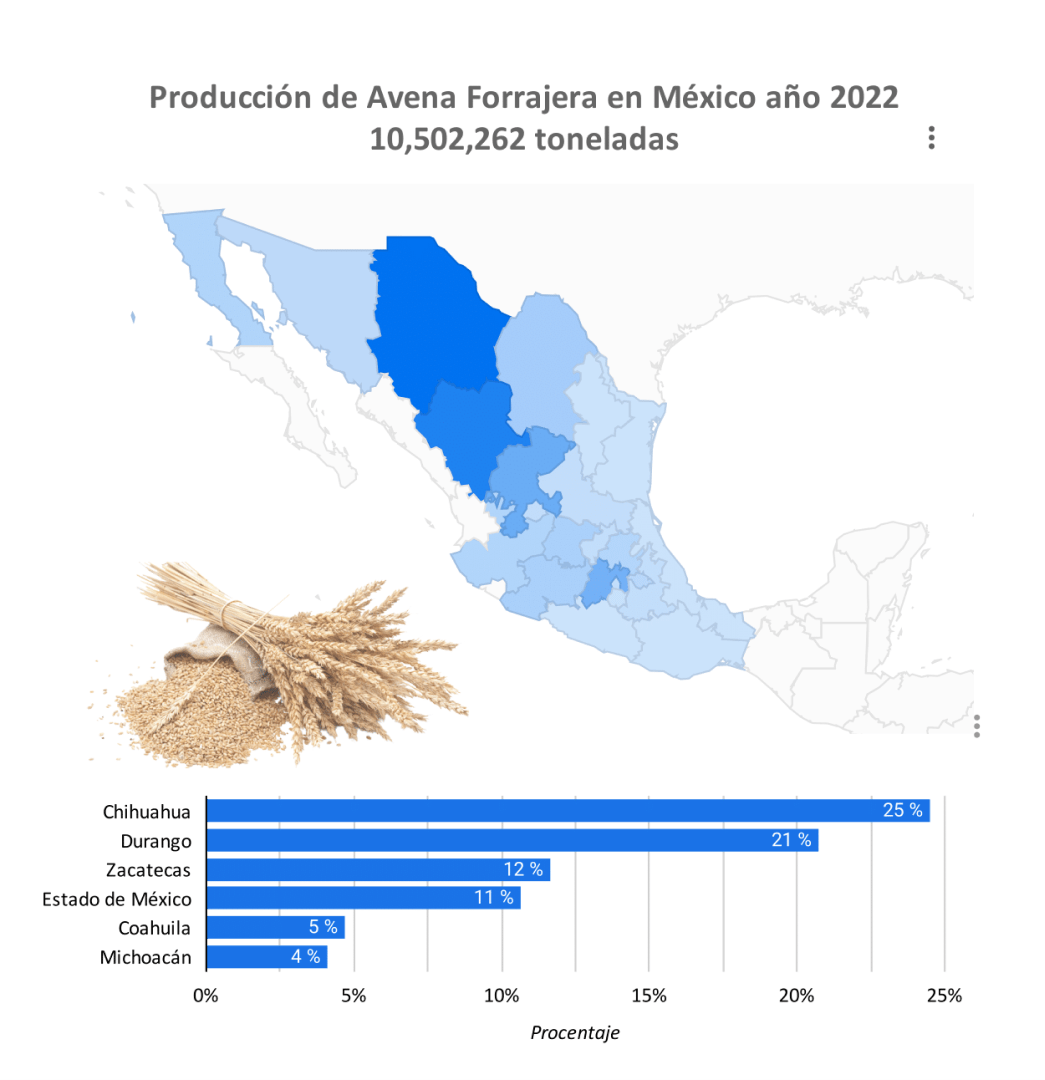 producción avena