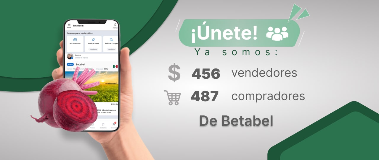 Consulta precios de Betabel y comercialízalo en Smattcom