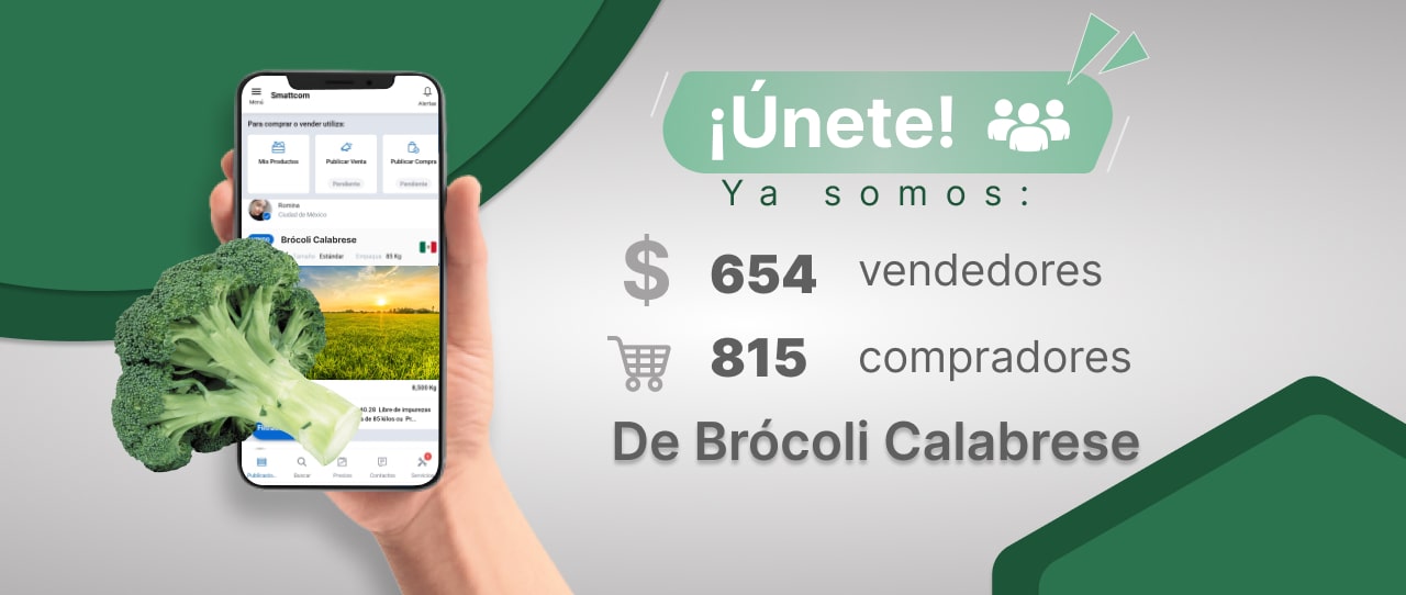 Consulta precios de Brócoli y comercialízalo en Smattcom
