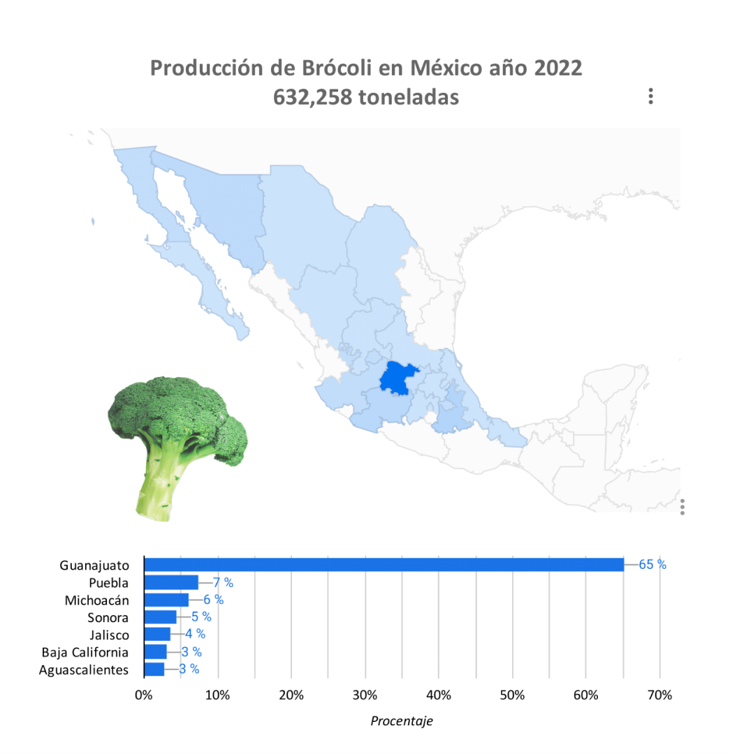 producción brócoli
