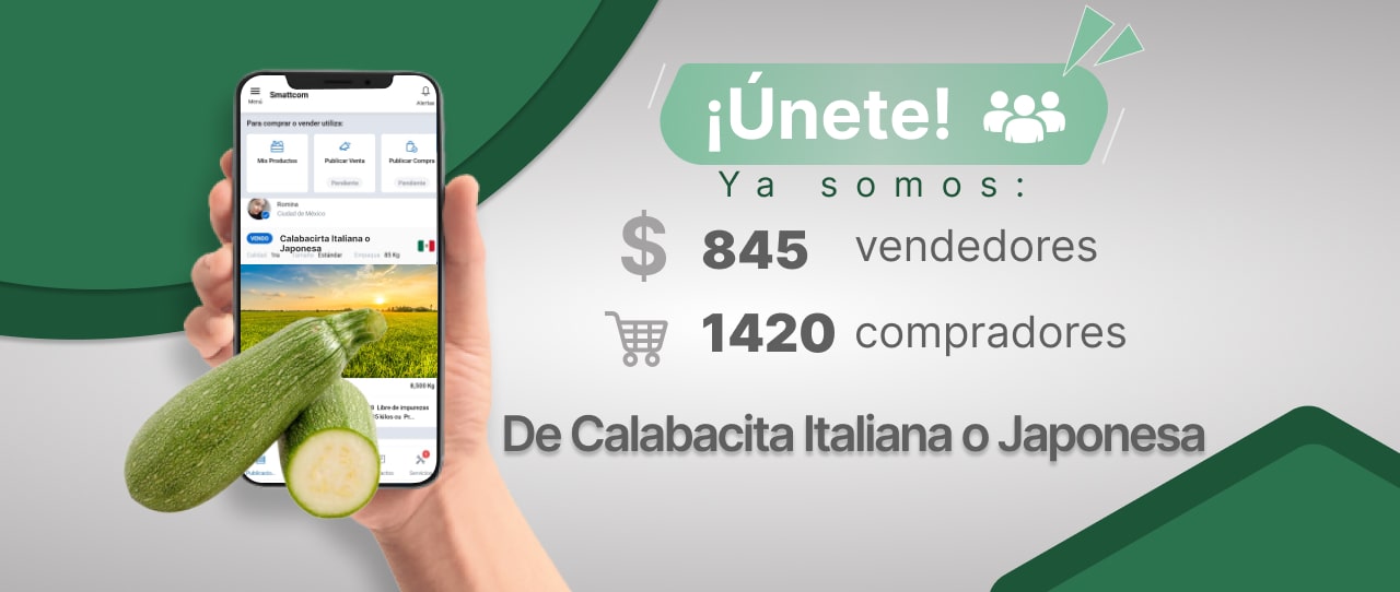 Consulta precios de Calabacita Italiana y comercialízala en Smattcom