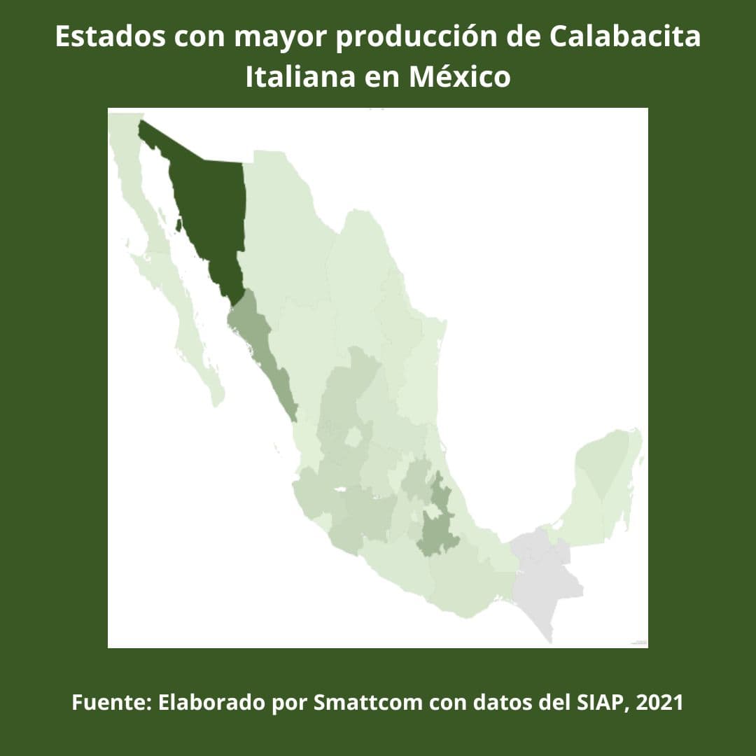 Consulta precios de Calabacita Italiana y comercialízala en Smattcom