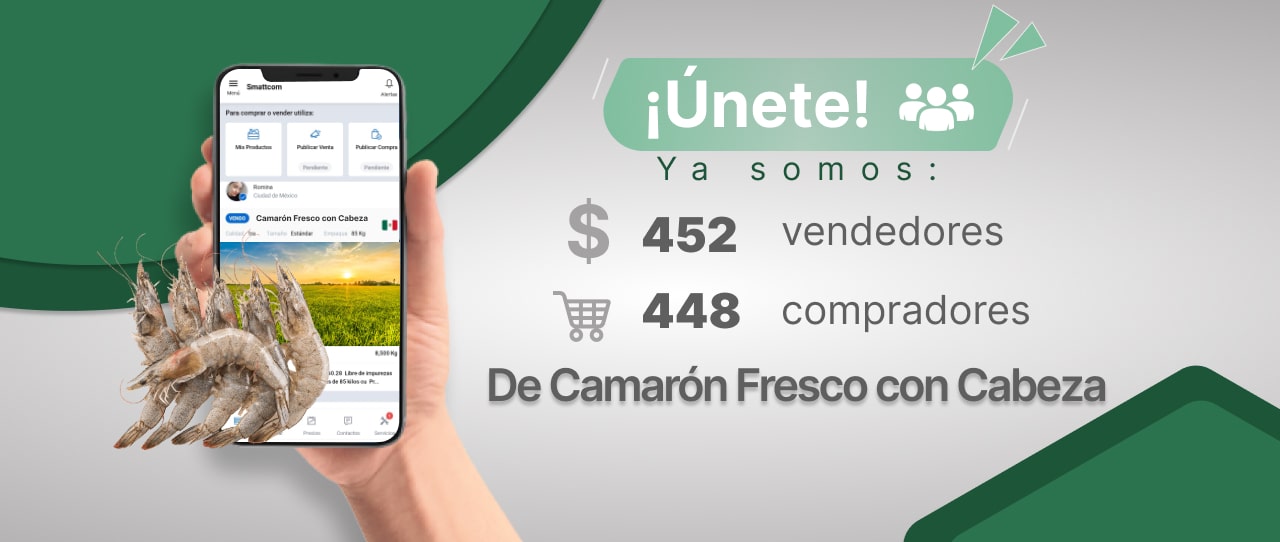 Consulta precios de Camarón Fresco y comercialízalo en Smattcom