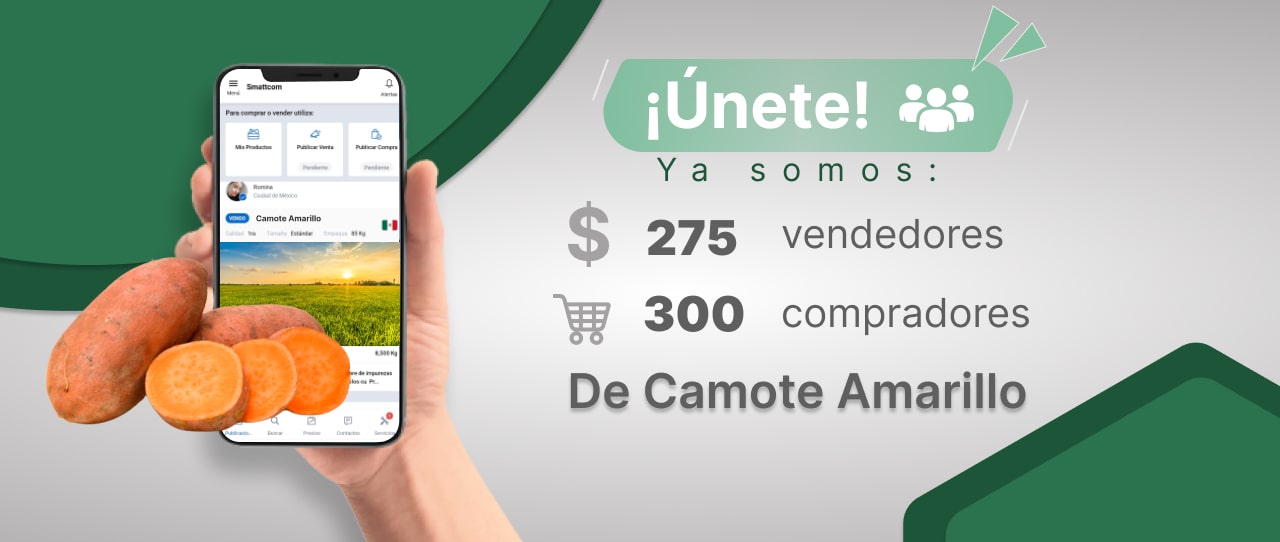 Consulta precios de Camote Amarillo y comercialízalo en Smattcom