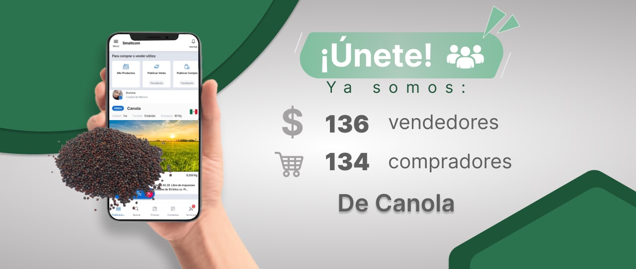 Consulta precios de Canola y comercialízala en Smattcom