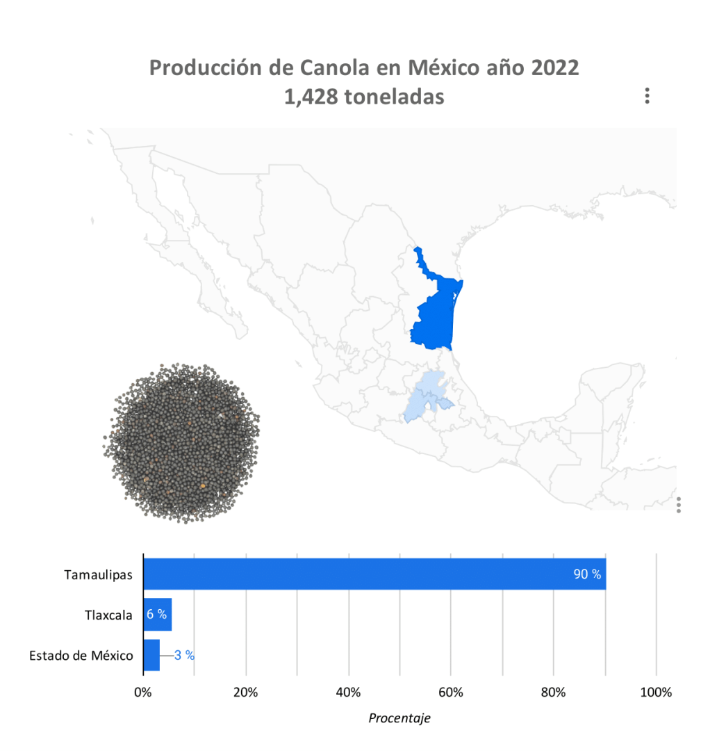 Producción canola