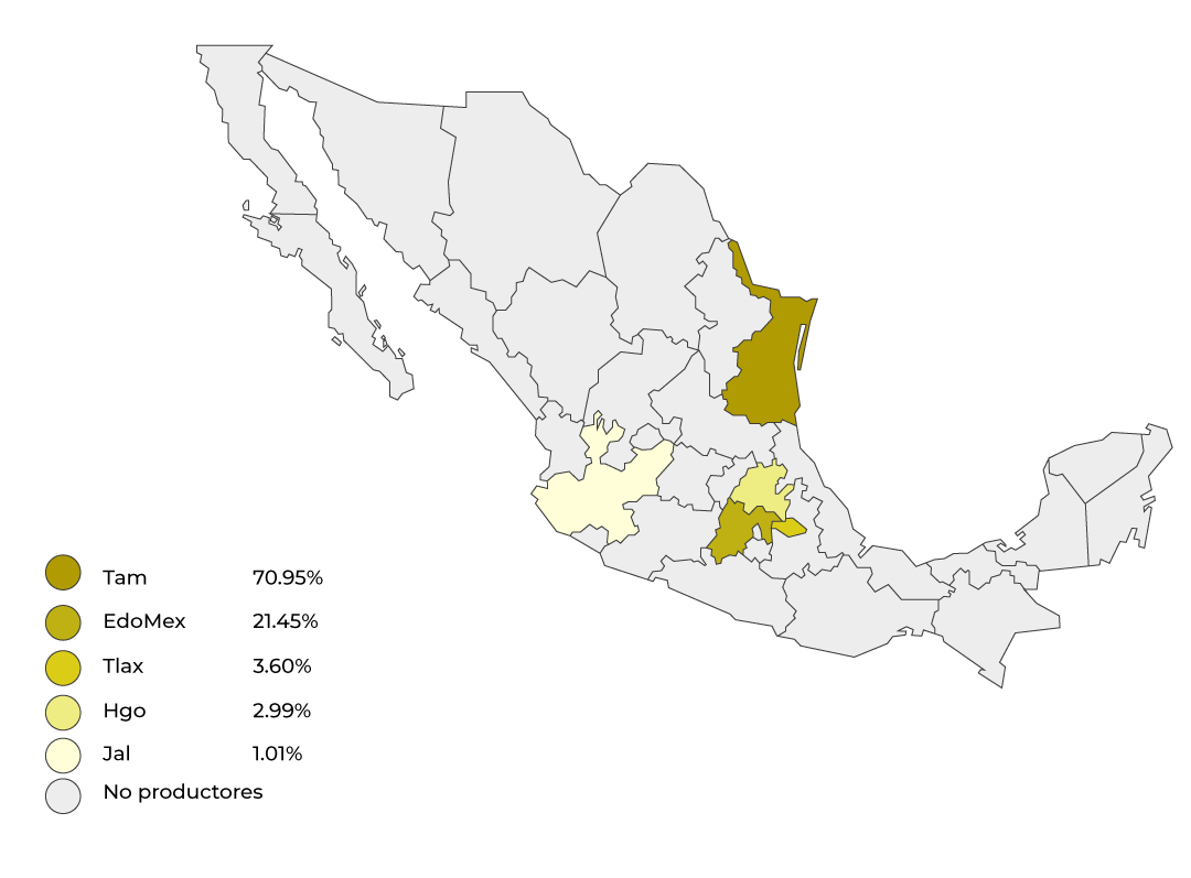 Consulta precios de Canola y comercialízala en Smattcom