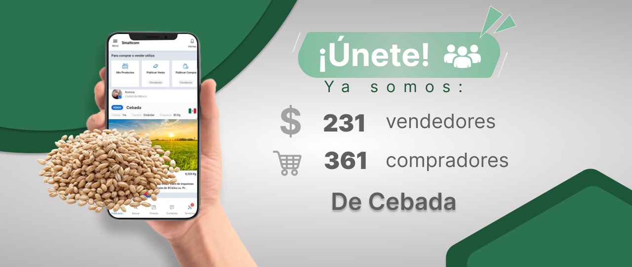 Consulta precios de Cebada y comercialízala en Smattcom