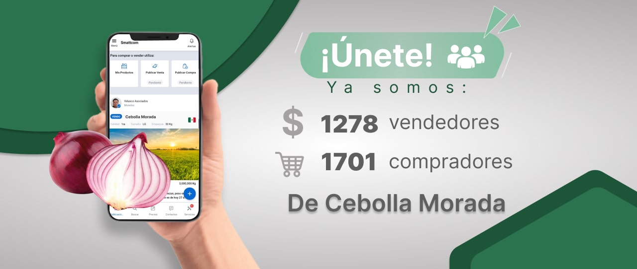 Consulta precios de Cebolla Morada y comercialízala en Smattcom