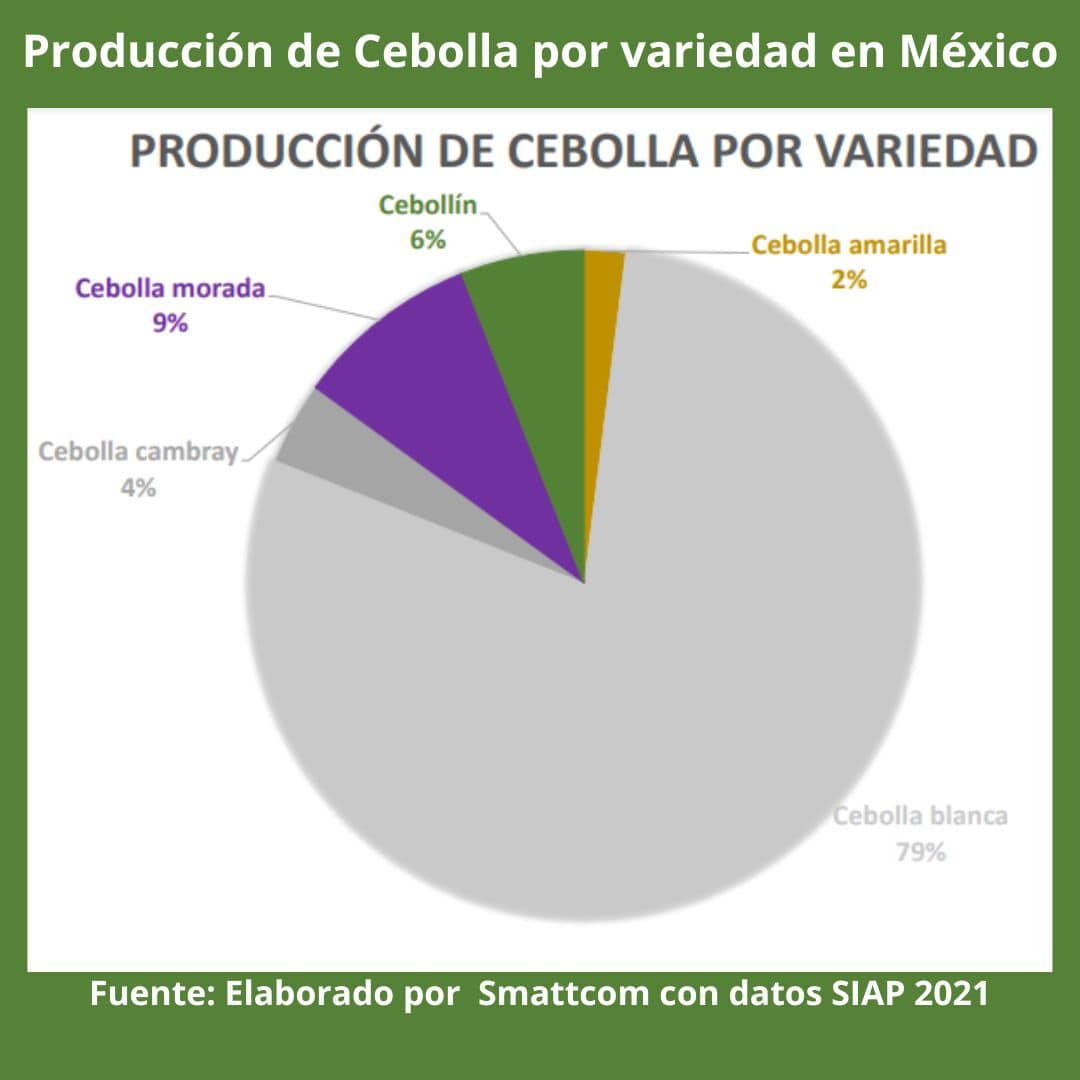 Consulta precios de Cebolla Morada y comercialízala en Smattcom
