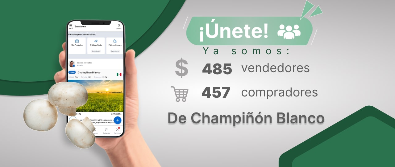 Consulta precios de Champiñón Blanco y comercialízalo en Smattcom