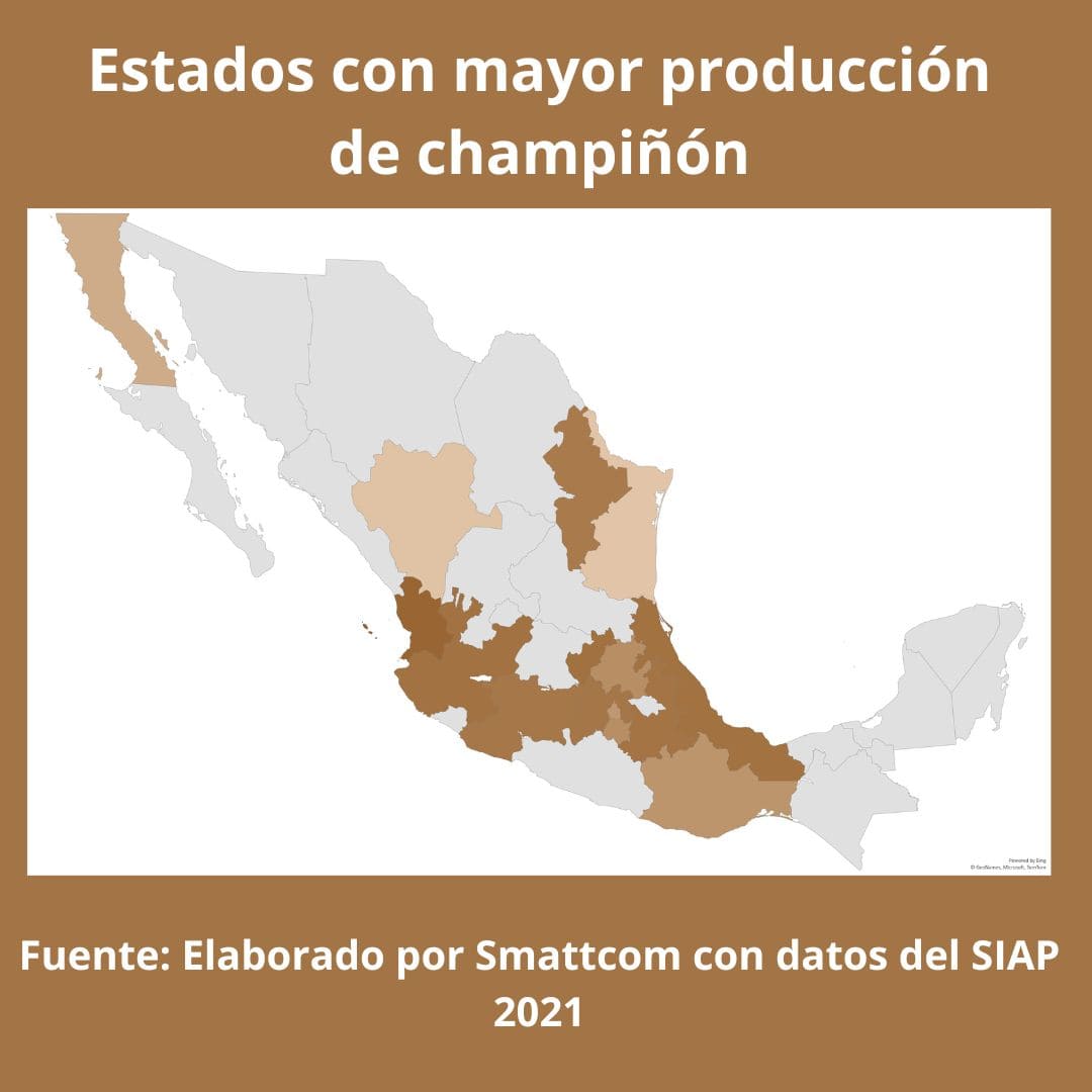 Consulta precios de Champiñón Blanco y comercialízalo en Smattcom