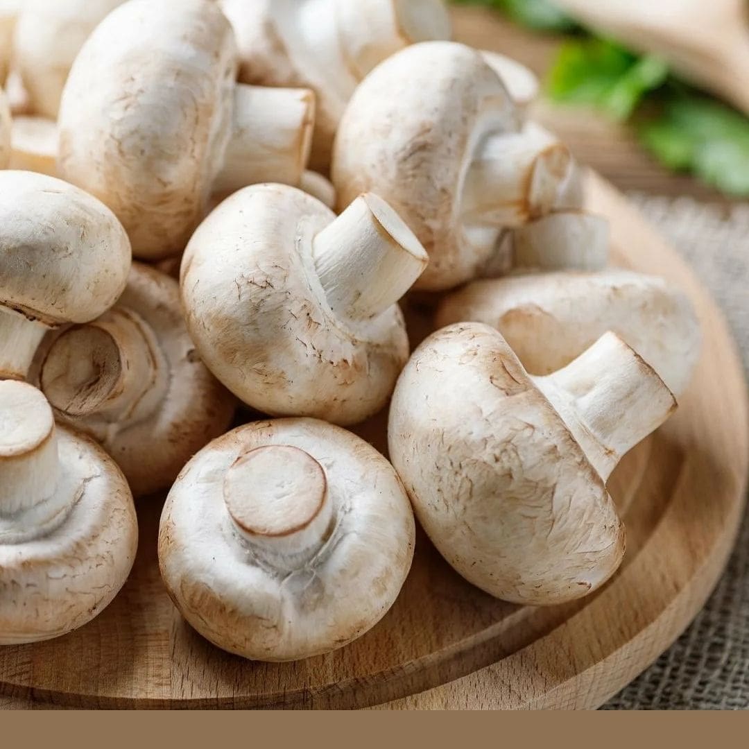 Consulta precios de Champiñón Blanco y comercialízalo en Smattcom